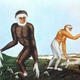 Illustration for article titled How Europeans Imagined Exotic Animals Centuries Ago, Based on Hearsay